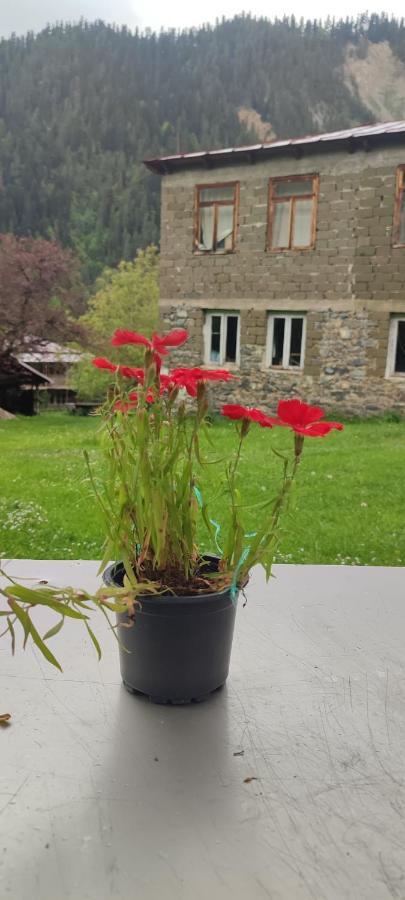 Tsknari Oda Oni Exterior foto